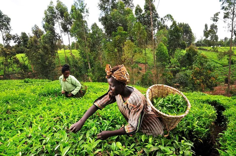 Five-ways-Covid-19-could-affect-rural-Africa-–-and-what-to-do-about-it
