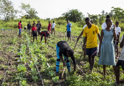 Youth-and-women-in-agri-business